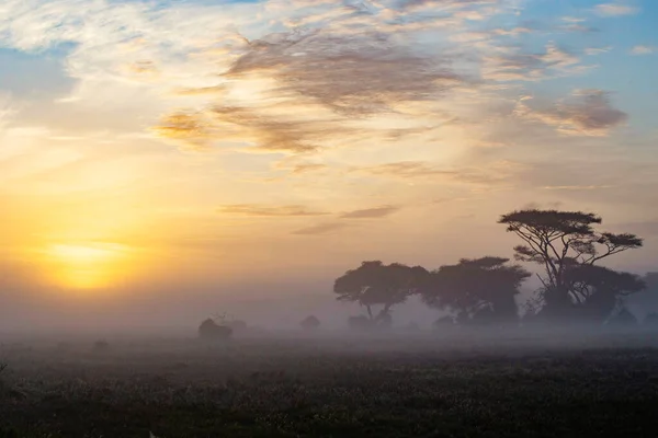 Landscape Foggy Plain Morning Sunrise — 스톡 사진