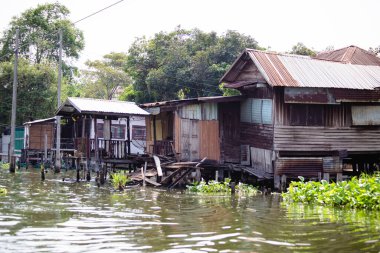 BANGKOK, THAILAND - Nisan 2019: Bangkok 'un Khlong ilçesi, Bangkok, Tayland' da Chao Phraya nehri kıyısındaki evler