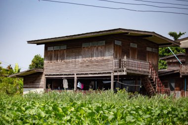 BANGKOK, THAILAND - Nisan 2019: Bangkok 'un Khlong ilçesi, Bangkok, Tayland' da Chao Phraya nehri kıyısındaki evler