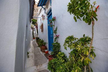 ATENS, GREECE - Temmuz 2021: Plaka, Atina, Yunanistan 'ın tarihi dar sokakları ve renkli binaları