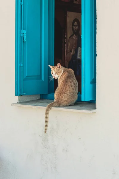 Close View Red Cat Sitting Window Blue White Church — Stock Photo, Image