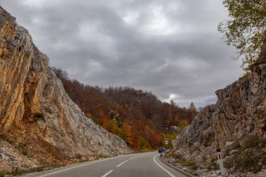 MONTENEGRO - Ekim 2020: Sonbahar zamanı, Sırbistan 'ın Tara Ulusal Parkı' ndaki dağ yolu
