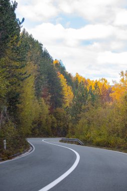 MONTENEGRO - Ekim 2020: Sonbahar zamanı, Sırbistan 'ın Tara Ulusal Parkı' ndaki dağ yolu
