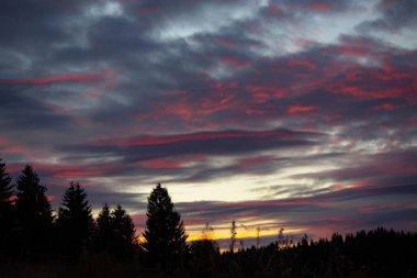 Bosna-Hersek sınırındaki Tara Ulusal Parkı 'ndaki dağlarda güzel bir gün batımı.