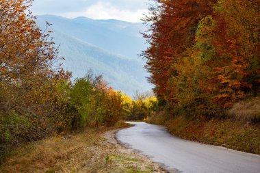 MOKRA GORA, SERBIA - Ekim 2020: Evleri ve sarı ağaçları olan sonbahar manzarası. Sonbaharda Sırbistan 'da Tara Ulusal Parkı.