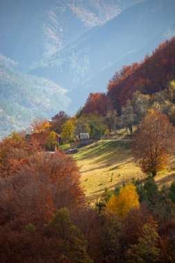 MOKRA GORA, SERBIA - Ekim 2020: Evleri ve sarı ağaçları olan sonbahar manzarası. Sonbaharda Sırbistan 'da Tara Ulusal Parkı.