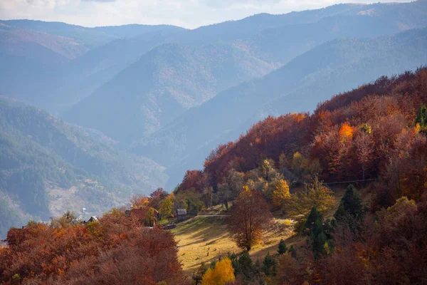 Mokra Gora Serbia Oktober 2020 Herfstlandschap Met Huizen Gele Bomen — Stockfoto