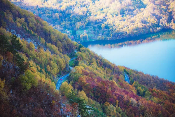 Bergweg Tara National Park Herfst Servië — Stockfoto