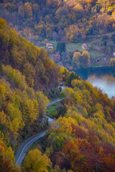 Hegyi Tara Nemzeti Parkban Ősszel Szerbia — Stock Fotó