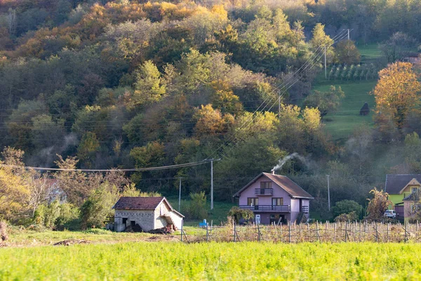 Bajina Basta Sérvia Outubro 2020 Paisagem Outono Com Casas Árvores — Fotografia de Stock