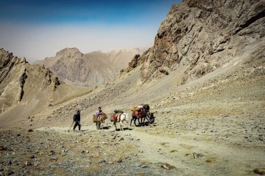 TAJIKISTAN - 20 Ağustos 2025: Eşek taşıyan Tacik çocuklar Fann Dağları, Tacikistan 'daki dağ geçidinden mal taşıyorlar