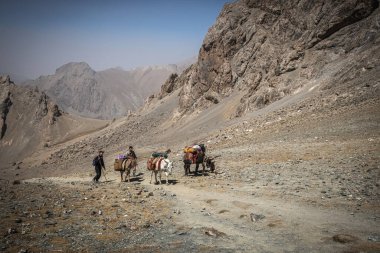 TAJIKISTAN - 20 Ağustos 2025: Eşek taşıyan Tacik çocuklar Fann Dağları, Tacikistan 'daki dağ geçidinden mal taşıyorlar