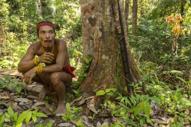 SIBERUT, INDONEZYA - 5 Kasım 2025: Geleneksel giysi ve vücut dekorasyonları giyen Mentawai şamanı geleneksel bir avcı kıyafeti Siberut Sumatra Endonezya ile ormanda avlanıyor