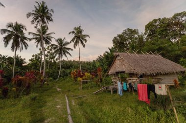 SIBERUT, INDONESIA - 5 Kasım 2025: Batı Sumatra Endonezya 'nın Sibirya adasındaki Mentawai kabile köyünde geleneksel Uzunev Uma