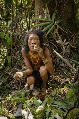 SIBERUT, INDONESIA - 5 Kasım 2025: Siberut Adası Batı Sumatra Endonezya 'da vahşi Durian yiyen Mentawai kadını