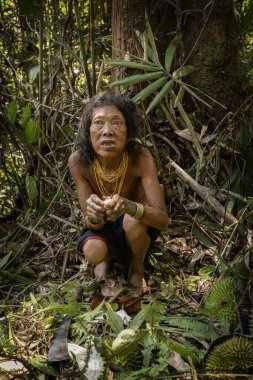 SIBERUT, INDONESIA - 5 Kasım 2025: Siberut Adası Batı Sumatra Endonezya 'da vahşi Durian yiyen Mentawai kadını