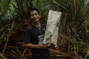 SIBERUT, INDONEZYA - 5 Kasım 2025: Ormanda Mentawai adamı, Siberut Adası Batı Sumatra Endonezya 'da kaymak yapmak için kullanılan sagu palmiyesini tutuyor
