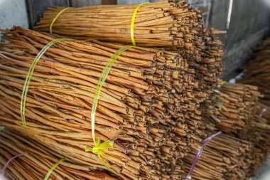 Batı Sumatra Endonezya 'daki tarçın çiftliğine toptan teslimat için büyük bir demet tarçın çubuğu.