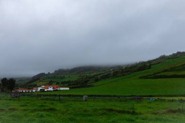 Portekiz 'deki Azores adalarında köy evleri olan inanılmaz yeşil tepeler.