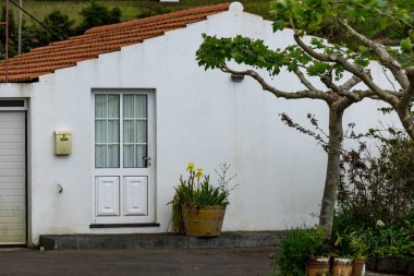 AZORES, PORTUGAL - 15 Nisan 2024: Azores, Portekiz 'de kırmızı kiremitli beyaz duvarlı ev ve saksı bitkisi