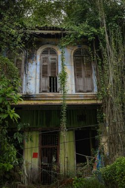 Perak, Malezya 'daki Papan Miras Köyü' nde bitki ve köklerle kaplı terk edilmiş eski Çin evi.