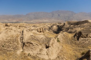 Tacikistan 'daki antik Panjakent Arkeolojik Alanı