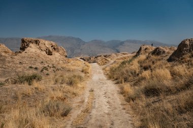 Tacikistan 'daki antik Panjakent Arkeolojik Alanı