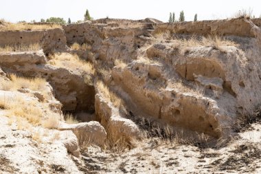 Tacikistan 'daki antik Panjakent Arkeolojik Alanı