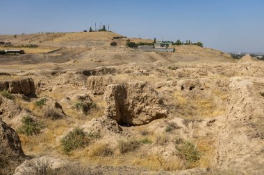 Tacikistan 'daki antik Panjakent Arkeolojik Alanı