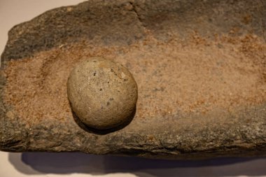 Tacikistan 'daki Sarazm Tarihi Müzesi' nde tahıl öğütmek için taş bir araç