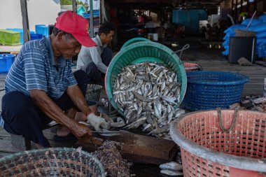 PALAU KETAM, MALAYSIA - 30 Kasım 2025: Malezya 'nın Yengeç adası Palau Ketam' daki balıkçı köyündeki balığı temizleyen balıkçı