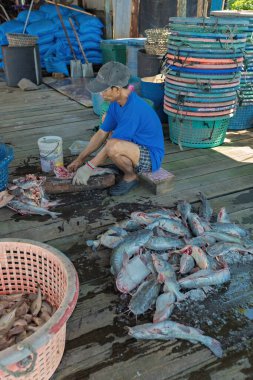 PALAU KETAM, MALAYSIA - November 30, 2025: Fisherman cleaning the fish on the pier in the fishing village at Palau Ketam, Crab island Malaysia
