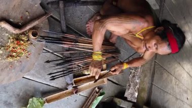 SIBERUT, INDONEZYA - 15 Kasım 2025: Geleneksel giysi ve vücut dekorasyonlarıyla Mentawai şamanı zehri Siberut Adası 'ndaki Sibirya Sumatra Endonezya' daki evinde avlanmak için hazırlıyor.