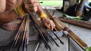 SIBERUT, INDONEZYA - 15 Kasım 2025: Geleneksel giysi ve vücut dekorasyonlarıyla Mentawai şamanı zehri Siberut Adası 'ndaki Sibirya Sumatra Endonezya' daki evinde avlanmak için hazırlıyor.