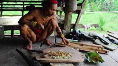 SIBERUT, INDONEZYA - 15 Kasım 2025: Geleneksel giysi ve vücut dekorasyonlarıyla Mentawai şamanı zehri Siberut Adası 'ndaki Sibirya Sumatra Endonezya' daki evinde avlanmak için hazırlıyor.