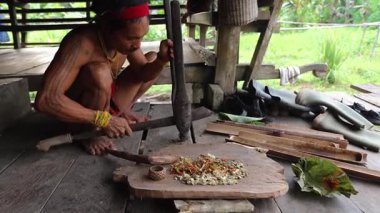 SIBERUT, INDONEZYA - 15 Kasım 2025: Geleneksel giysi ve vücut dekorasyonlarıyla Mentawai şamanı zehri Siberut Adası 'ndaki Sibirya Sumatra Endonezya' daki evinde avlanmak için hazırlıyor.