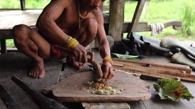 SIBERUT, INDONEZYA - 15 Kasım 2025: Geleneksel giysi ve vücut dekorasyonlarıyla Mentawai şamanı zehri Siberut Adası 'ndaki Sibirya Sumatra Endonezya' daki evinde avlanmak için hazırlıyor.