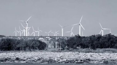 Fas 'taki Atlantik Okyanusu kıyısındaki yel değirmenleri