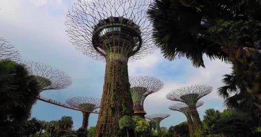 SINGAPORE, 2 Nisan 2025: Körfez manzaralı bahçeler Singapur bakış açısından