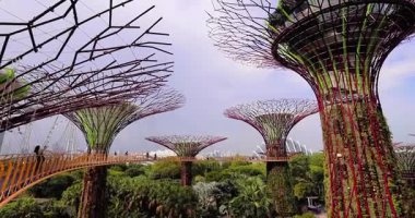 SINGAPORE, 2 Nisan 2025: Körfez manzaralı bahçeler Singapur bakış açısından