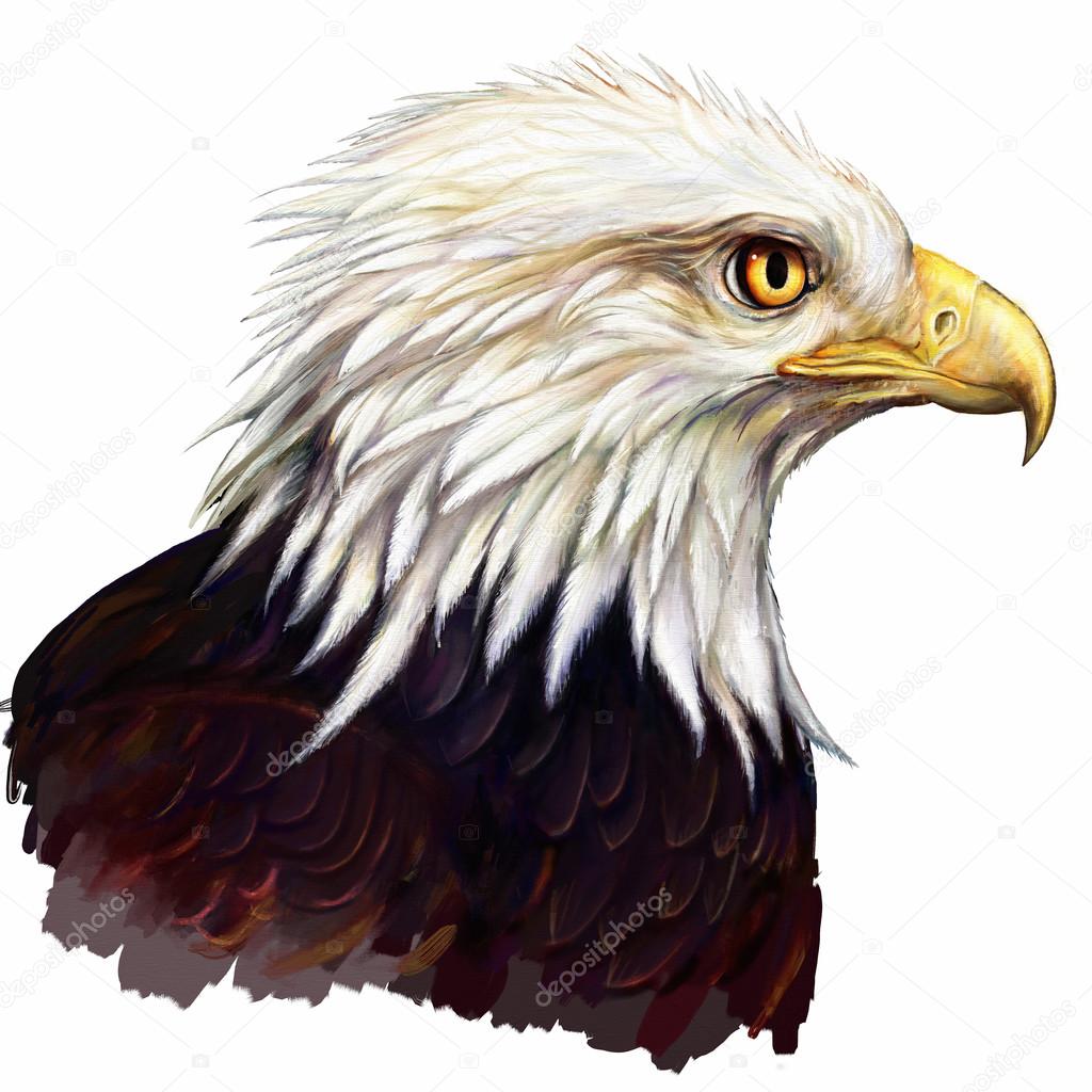 American eagle head — Stock Photo © modera761101 #114960650, image size:1024x1024