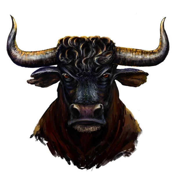 Toro furioso — Foto de Stock