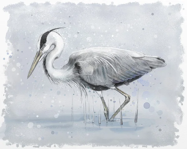 Grey heron watercolor — Stock Photo, Image