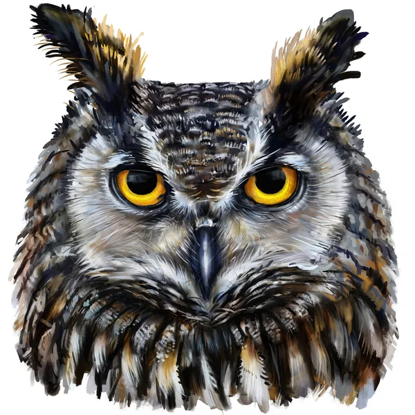 Eagle owl head — Stock Photo, Image