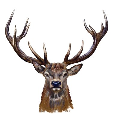 deer head in front clipart