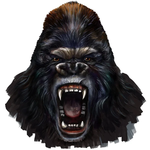 Gorilla manliga scream — Stockfoto