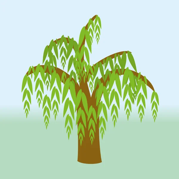 Weeping willow tree Royalty Free Stock Vectors