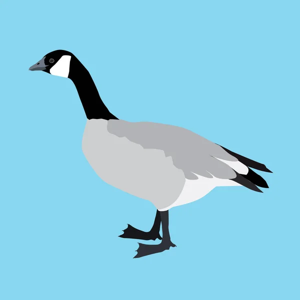 ベクトルイラストAf Canada Goose Cut Out Light Blue Background — ストックベクタ