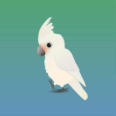 An illustration of a cute Goffin's cockatoo, His crest is up and he looks friendly at you clipart