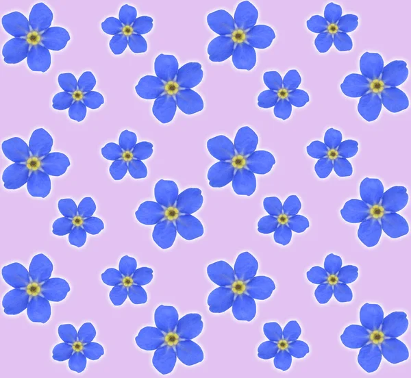 Pattern Forget Flowers Repeating Soft Pink Background — Stock Photo, Image